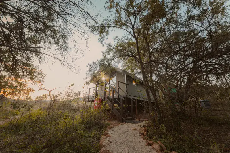 A stone-lined gravel path leading through the trees to a raised canvas lodge